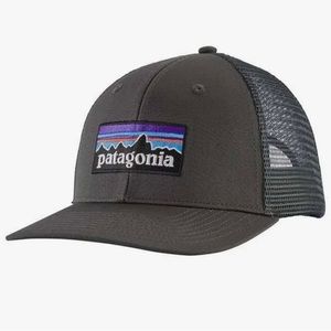 Patagonia Grey Trucker Hat